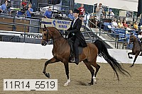11r14_5519 thumbnail