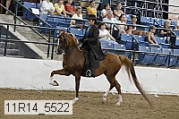 11r14_5522 thumbnail