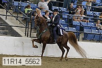 11r14_5562 thumbnail