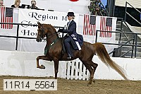 11r14_5564 thumbnail