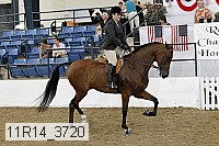 11r14_3720 thumbnail