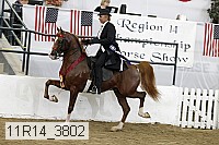 11r14_3802 thumbnail