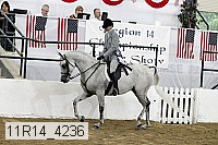 11r14_4236 thumbnail