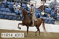 11r14_4313 thumbnail