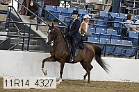 11r14_4327 thumbnail