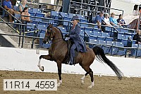 11r14_4559 thumbnail