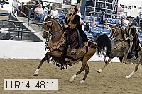 11r14_4811 thumbnail