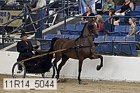 11r14_5044 thumbnail