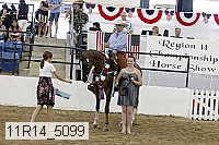 11r14_5099 thumbnail