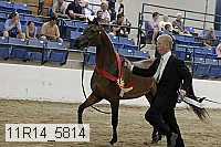 11r14_5814 thumbnail