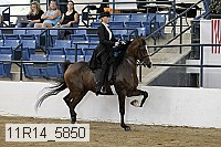 11r14_5850 thumbnail