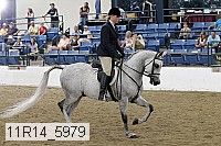 11r14_5979 thumbnail