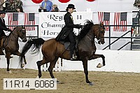 11r14_6068 thumbnail