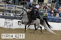 11r14_6211 thumbnail