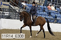 11r14_6308 thumbnail