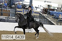 11r14_6439 thumbnail