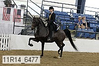 11r14_6477 thumbnail