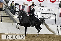 11r14_6479 thumbnail