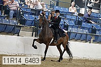 11r14_6483 thumbnail