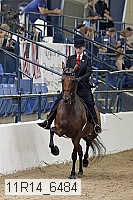 11r14_6484 thumbnail