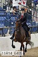 11r14_6485 thumbnail