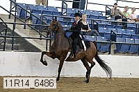 11r14_6486 thumbnail