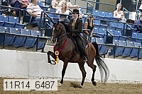 11r14_6487 thumbnail