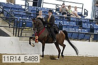 11r14_6488 thumbnail