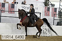 11r14_6490 thumbnail