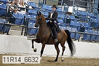 11r14_6632 thumbnail