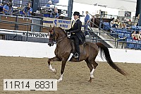 11r14_6831 thumbnail