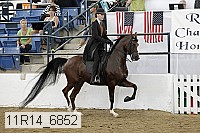 11r14_6852 thumbnail