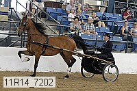 11r14_7202 thumbnail