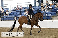 11r14_7247 thumbnail