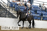 11r14_7277 thumbnail