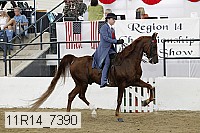 11r14_7390 thumbnail