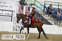11r14_7639 thumbnail