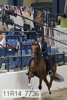 11r14_7736 thumbnail