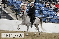 11r14_7737 thumbnail