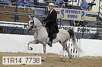 11r14_7738 thumbnail
