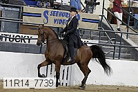11r14_7739 thumbnail