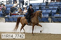 11r14_7742 thumbnail