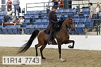 11r14_7743 thumbnail