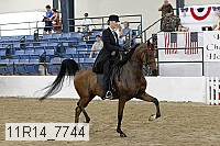 11r14_7744 thumbnail