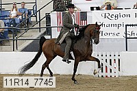 11r14_7745 thumbnail
