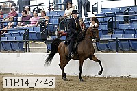11r14_7746 thumbnail