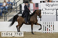 11r14_7747 thumbnail