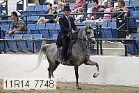 11r14_7748 thumbnail
