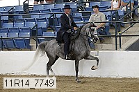 11r14_7749 thumbnail
