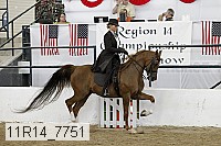 11r14_7751 thumbnail